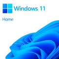Windows 11 Home 1PC License Key